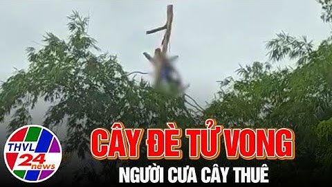 Người cưa cây thuê bị cây đè tử vong