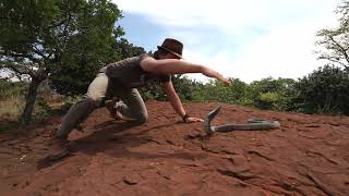 Kiss Of Death On One Of Africa's Biggest And Deadliest Cobras