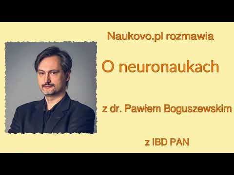 naukovo.pl [253] - Dobra ciotka Magda -  #niekoronawirus 253. O neuronaukach