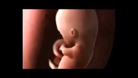 تلاوه خاشعه ..سبحان الخالق عز وجل