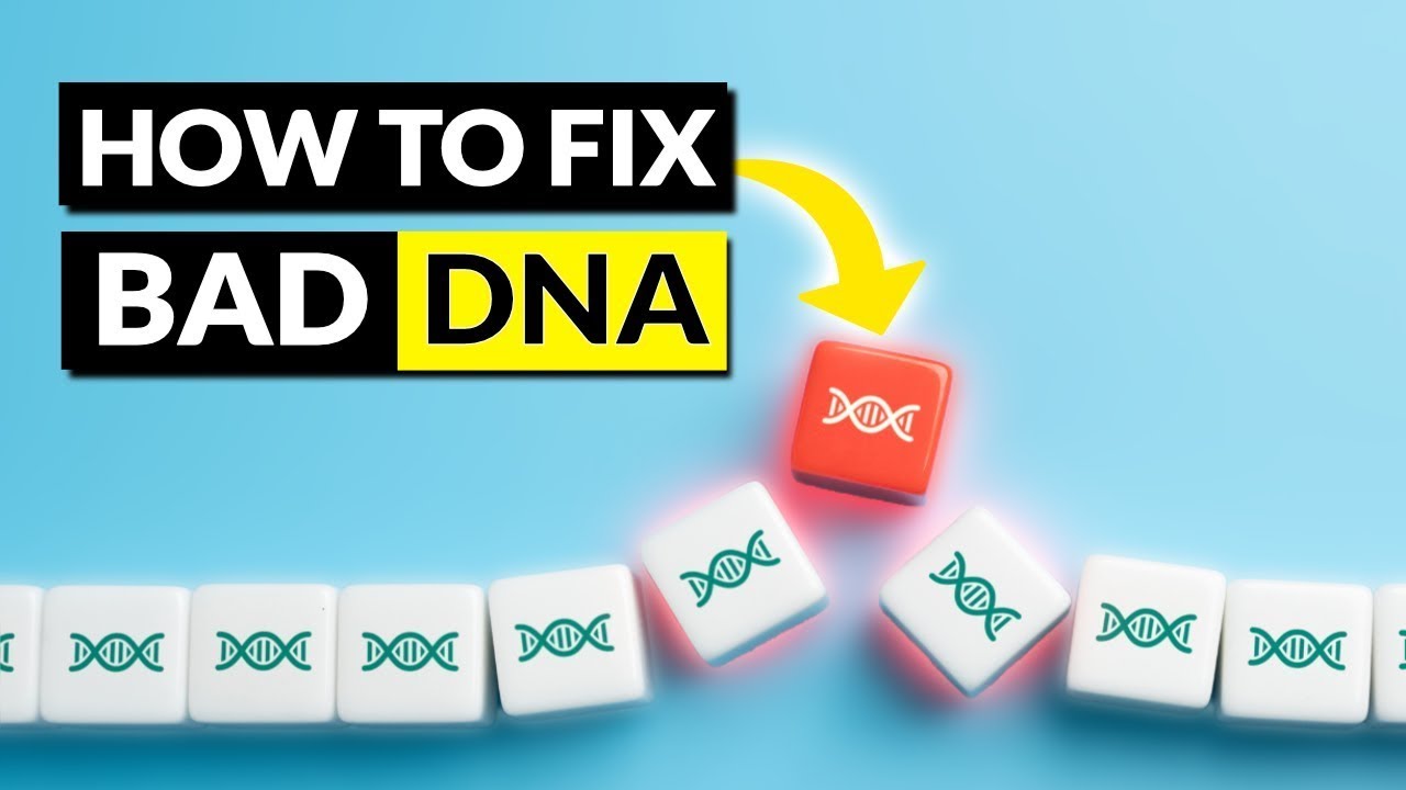 Epigenetics Explained: How Diet, Lifestyle & Environment Influence Your ...
