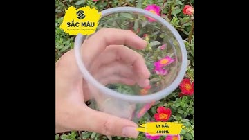 Cốc nhựa/ ly nhựa đáy bầu 600ml kèm nắp | Bao bì Miền Tây - Sắc Màu | 093 230 09 39