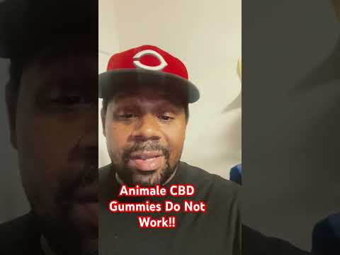 Cbd Gummies Top 1 The Power Of User Intent