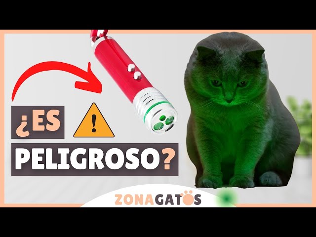 Es buena idea usar el LÁSER para jugar con tu gato? 