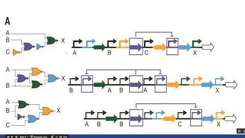 Extending Cello Part - 1 | Maharshi Vyas | 201401414 | SynBio Project
