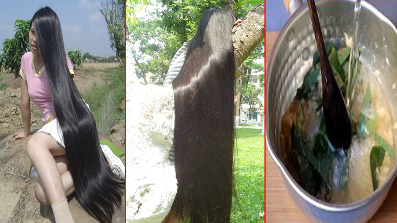 Magical Avocado Leaves Water for Double Hair Growth || How To Growth Long Hair & Stop Hair Fall