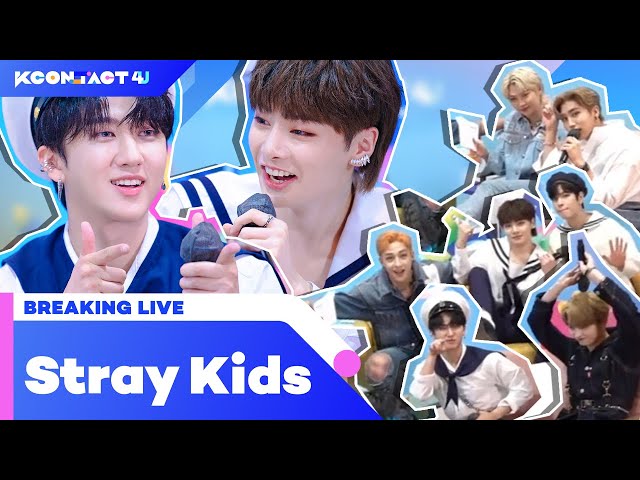 Stray Kids - き〜きゅ〜さん せんよう Stray Kids - Chk Chk Boom -Japanese ver.- / THE FIRST TAKE