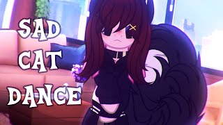 † SAD CAT DANCE ~ animation meme †