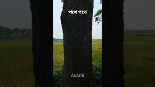 পথে পথে | Bangladesh | #youtubeshorts #anarhi #dhaka #bangladesh