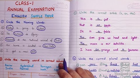 Class 1 English Grammer Annual Exam Sample Paper || English Grammer Exam Revision
