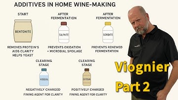 WineExpert - Wine Kit - Viognier Part 2 #winemaking #howto #howtomake #howtomakewine #tutorial