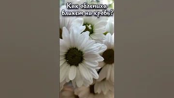 Как облепиха влияет на кровь?