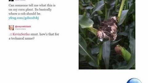 Twitter 101 - Getting Started on Twitter