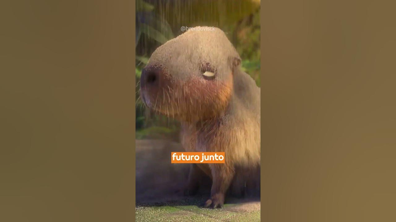 A CAPIVARA É O BICHO MAIS LEGAL - ANIMAÇÃO (@cartoonsbiel8538) 