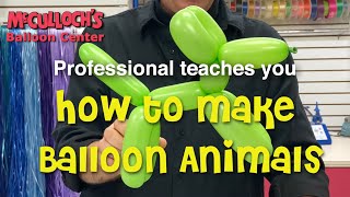 Professional teaches you how to make balloon dog. #balloonanimals #howto