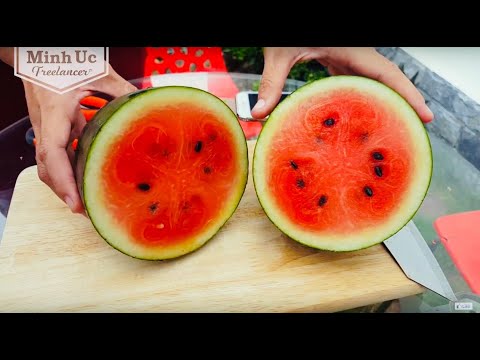 Video Dưa hấu trong vườn ???? Lần đầu tiên trồng được lứa dưa... - youtube