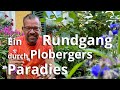 Ein rundgang durch karl plobergers sommerliches gartenparadies