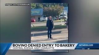 Former Border Patrol commander Gregory Bovino denied entry into Charlotte s Manolo s Bakery