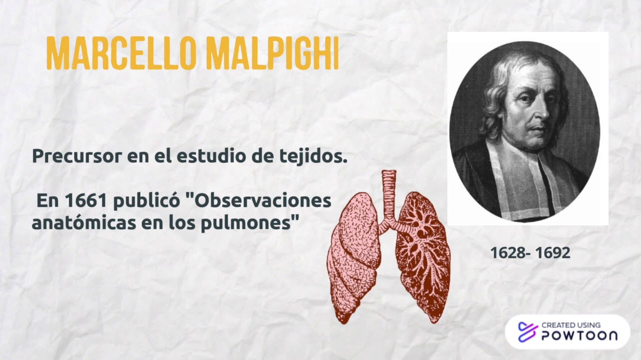 De la magia primitiva a la medicina moderna 1 - YouTube