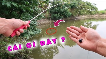 Thử thách câu cá bằng cần câu nhỏ nhất thế giới | Mini fishing rod | Lạ Vlog