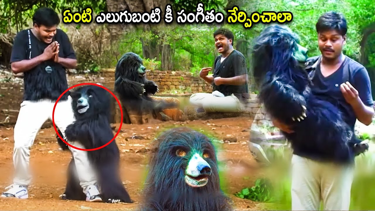 Sapthagiri & Bear Ultimate Movie Comedy Scene | Telugu Movies | Cinema Chupistha