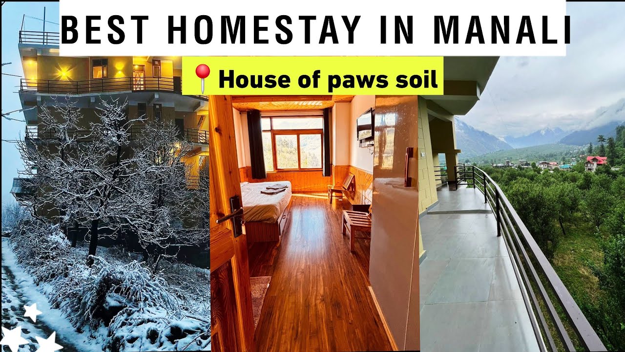 Best homestay in manali  Cozy Homestay In Manali | Workation | Staycation | Manali | House of Paws 