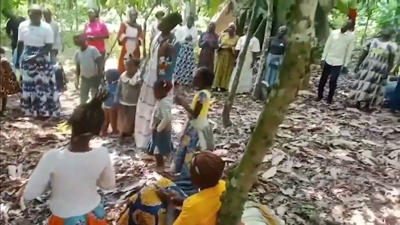 Kol-evodo,Camerún-Alabando Bajo Los Árboles: Life Line