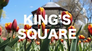 KING'S SQUARE   |   SAINT JOHN NB