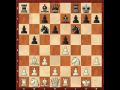 Ruy Lopez - Chess Openings