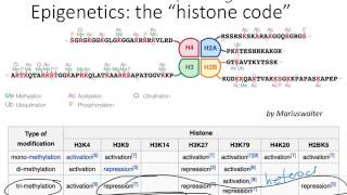 histone code