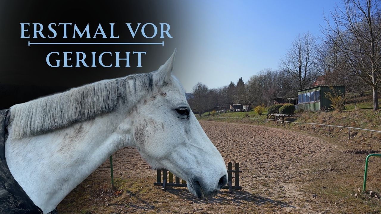 Eine ganz neue Erfahrung