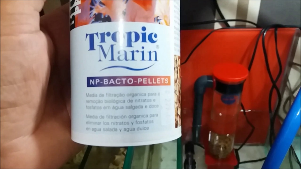 reator de biopellets youtube