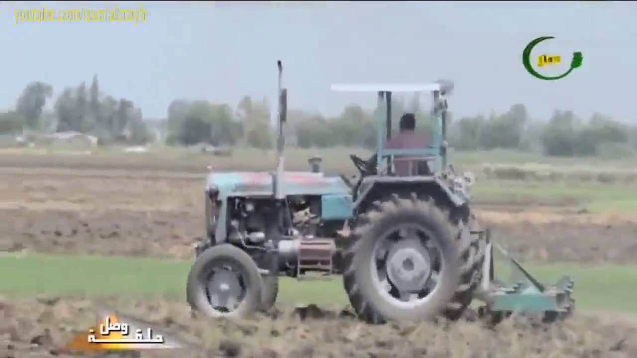 زراعة البرسيم طريقة تجهيز الارض لزراعة واهم المعاملات الزراعية