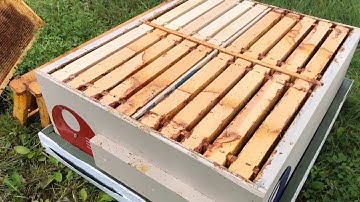 Mini Mating Nucs or Four Way Nucs