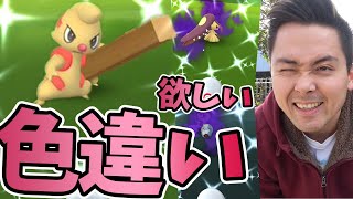 色違いドッコラーとか色違いシャドウとか欲しいんでまったりポケ活【ポケモンGO】