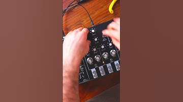 Half of Lyra-8 #somalaboratory #dawless #analogsynth #moogaudio
