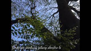 Download Lagu Lancaran Sembung Gilang Slendro 6 MP3