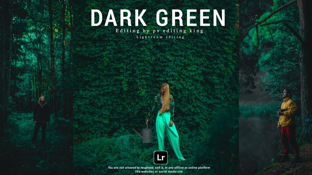 Beautiful Place Moody Dark Green Lightroom Tutorial || Deep Dark Green Tone Effect Lightroom Mobile