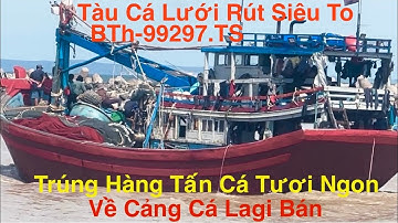 Tàu Cá Lưới Rút Siêu Phẩm-BTh-99297.TS-Phan Rí Cửa Trúng Hàng Tấn Hải Sản Tươi Ngon Vô Cảng Lagi Bán
