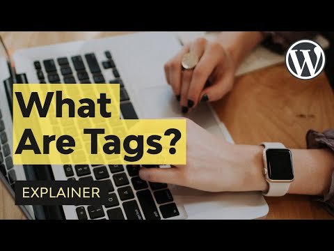 Video: Waar zijn tags voor op WordPress?