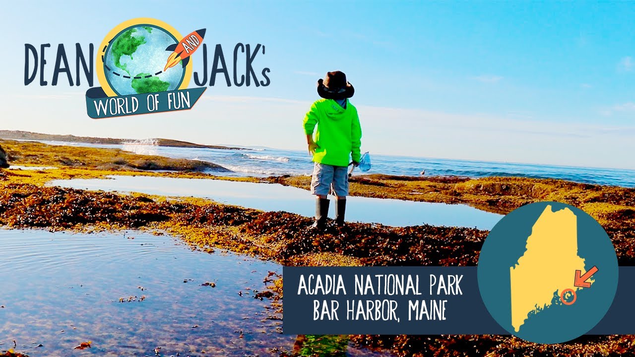 Tide Pool Treasures in Maine: Acadia National Park (AWESOME FINDS!)