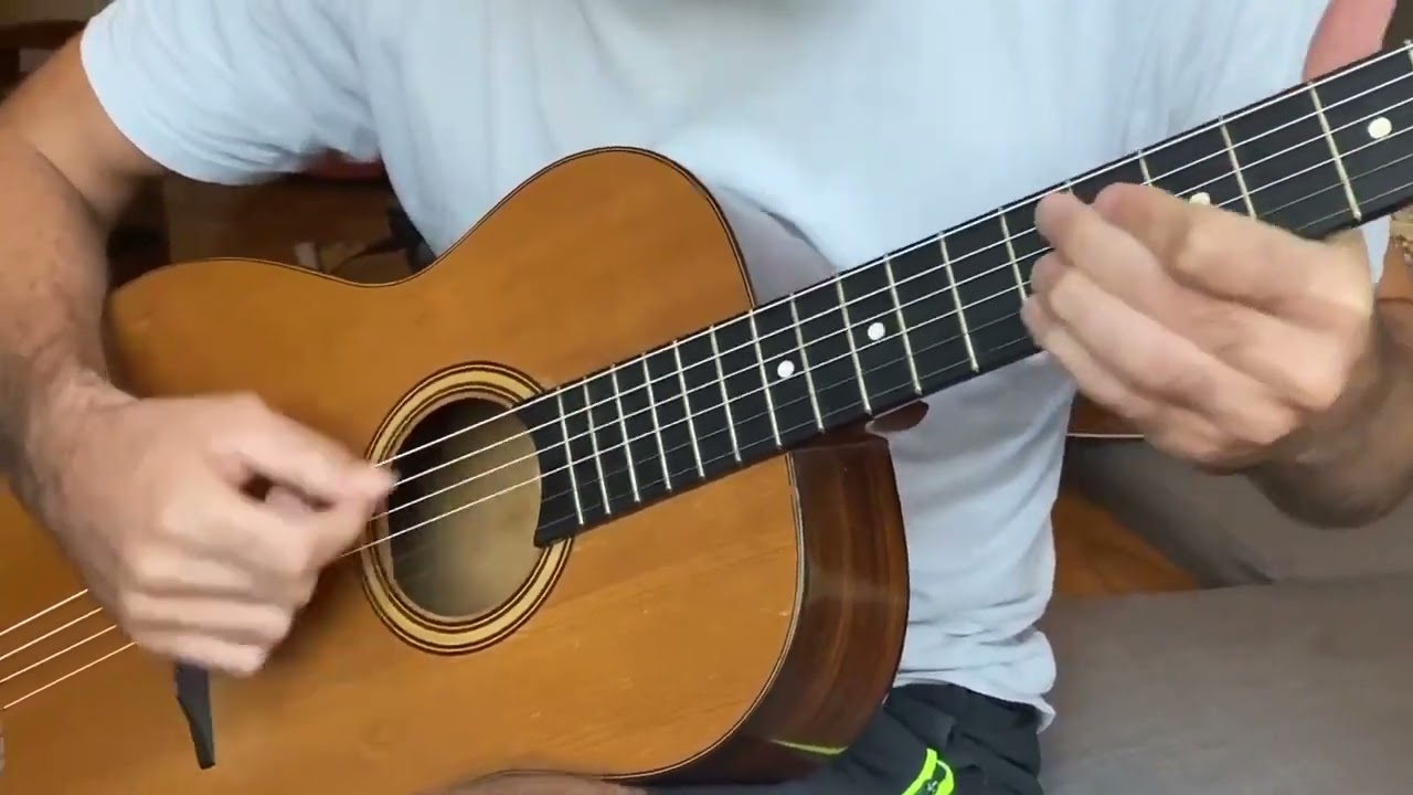 Paul Beuscher Gypsy Parlor Guitar