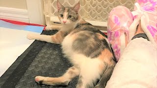 Download Lagu picked up outside alone and very pregnant MP3