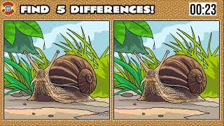 Find five differences,Spot The Difference #96 screenshot 5