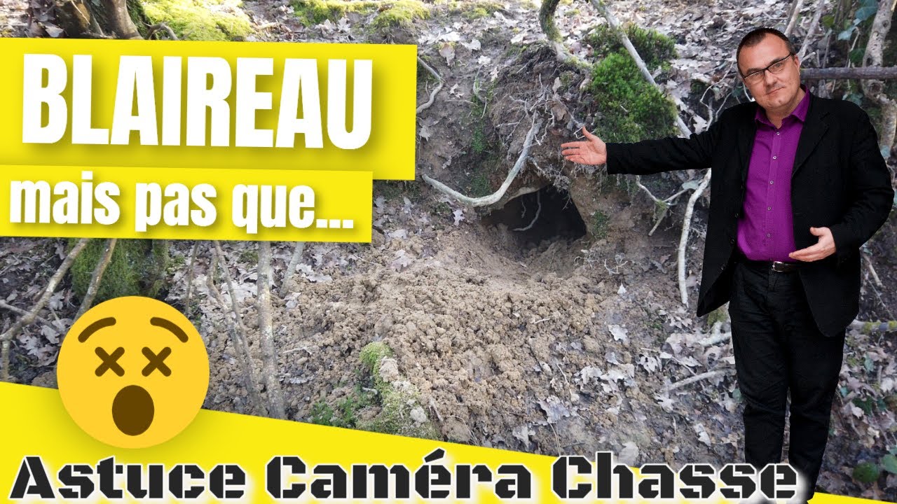 Je veux filmer un blaireau avec ma caméra chasse...