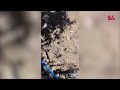 В селе Сары-Ой у половины жителей уже неделю нет воды
