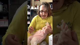 Cooing Chloe Ashton Drake Galleries unboxing