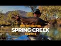 Pescando en Patagonia Spring Creek Río Rivadavia parte 2.