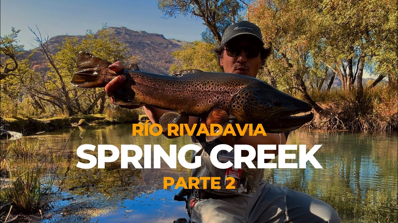 Pescando en Patagonia Spring Creek Río Rivadavia parte 2.