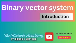 Binary vector system | An Introduction | Muttahir Aman